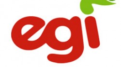 egi